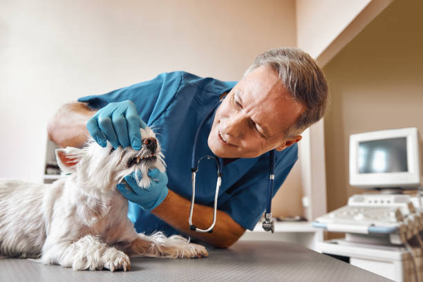 Best Urgent Care for Lost Fillings or Crowns in Pearland, TX